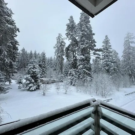Frostline Peak Forest Retreat