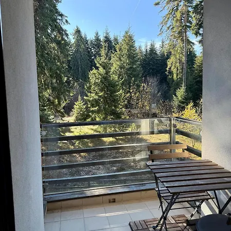 Frostline Peak Forest Retreat *