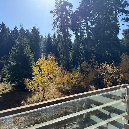Apartment Frostline Peak Forest Retreat *